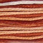 DMC Stranded Cotton - 0069 Variegated