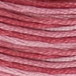 DMC Stranded Cotton - 0099 Variegated