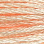DMC Stranded Cotton - 0951 Tawny Light