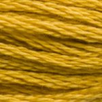 DMC Stranded Cotton - 3852 Straw Very Dark
