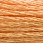 DMC Stranded Cotton - 3854 Autumn Gold Medium
