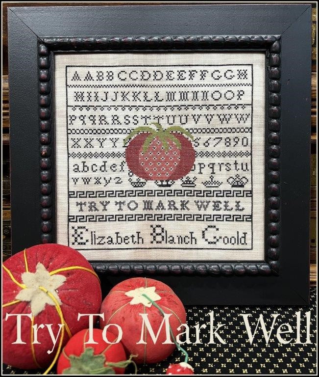 The Scarlett House - Try To Mark Well