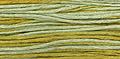 Weeks Dye Works - Pistachio 2206