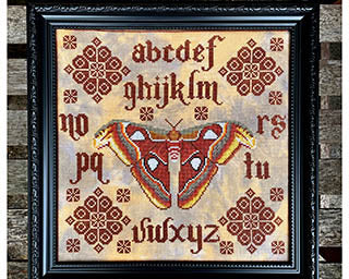 Slide image