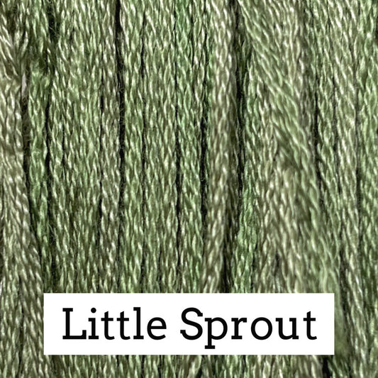 Classic Colorworks - Little Sprout