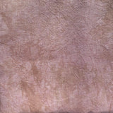36 Count Earthen Picture This Plus
