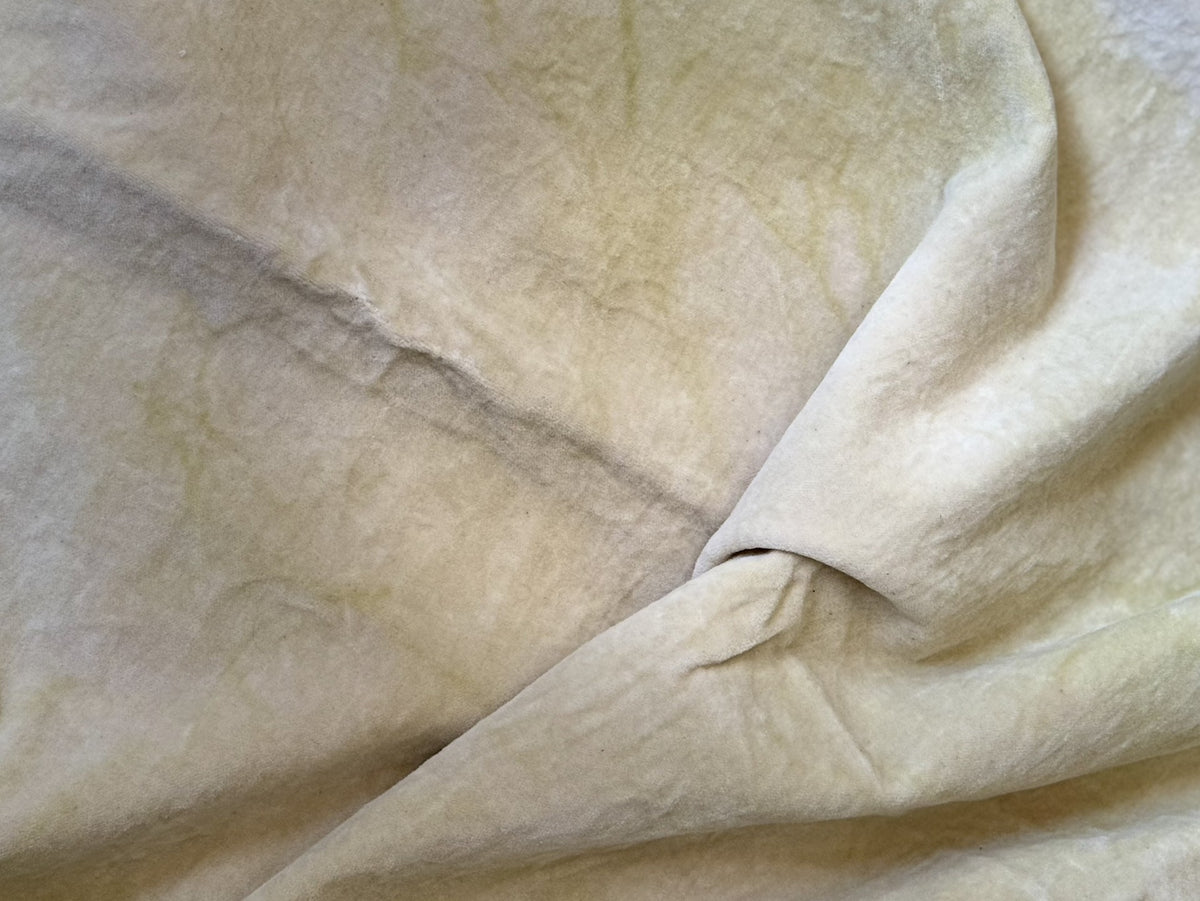 Fiddlestix Designs - Parsnip Hand-dyed 100% Organic Cotton Velvet Fabric
