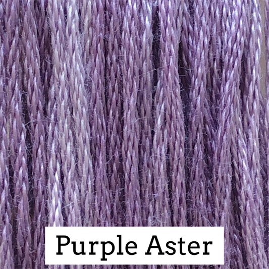 Classic Colorworks - Purple Aster