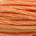 DMC Stranded Cotton - 0402 Mahogany Very Light