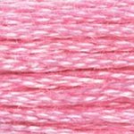 DMC Stranded Cotton - 0604 Cranberry Light