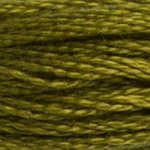 DMC Stranded Cotton - 0732 Olive Green