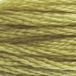 DMC Stranded Cotton - 0734 Olive Green Light