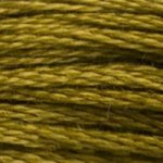 DMC Stranded Cotton - 0831 Golden Olive Medium