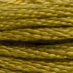 DMC Stranded Cotton - 0832 Golden Olive