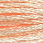 DMC Stranded Cotton - 0951 Tawny Light